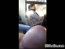Cock Flashing para mujeres en el autobús
