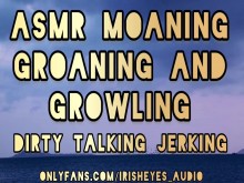 AUDIO COMPLETO - ASMR Gimiendo, Gruñendo, Corrida Gran Polla Sin Cortes Paja - Atractivo Acento Irlandés